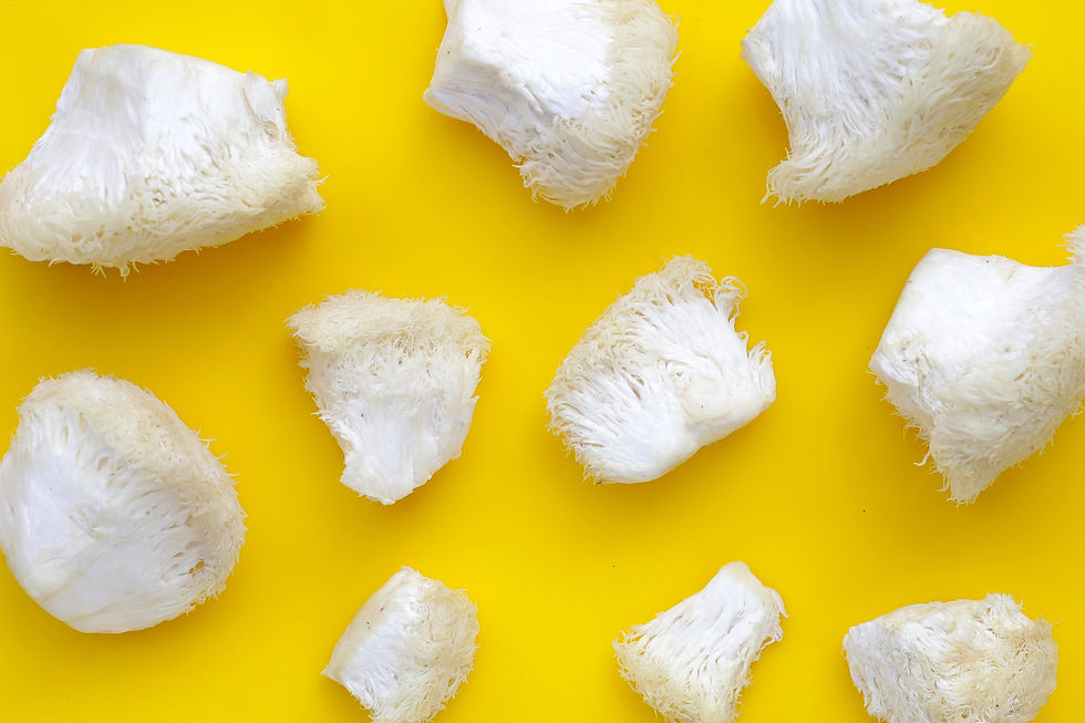 White, fluffy lion's mane mushrooms scattered on a bright yellow background, creating a striking contrast with the vibrant backdrop.