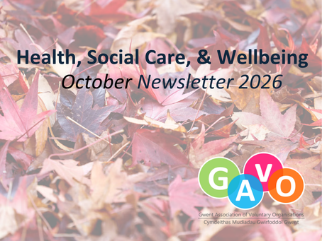 Newport Health Newsletter October 2026