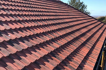 roof_edited.jpg