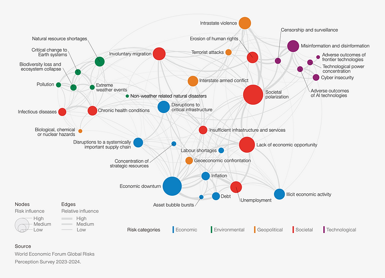 World Economic forum Global Risks Perception