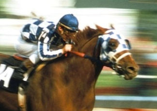 Thoroughbred Horse Export: Opportunities for Breeders in Brazil