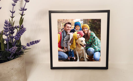 1 Pixel on the shelf 1200.jpg