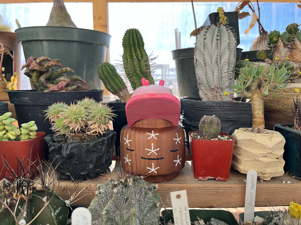 Thumbnail: Playing With Wood: Kevin Luong "Mellowcactus Knocksonwoodii"