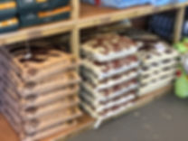 IMG_2018.jpeg