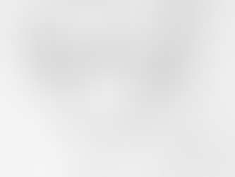 【ブログ】ゾルトさんの年齢予想