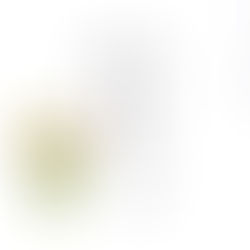 サイトリニューアルの季節がやってきた。