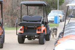 AUTHORIZED EZGO DEALER, Golf Carts Golf Cart Ellis County Custom Carts, utility