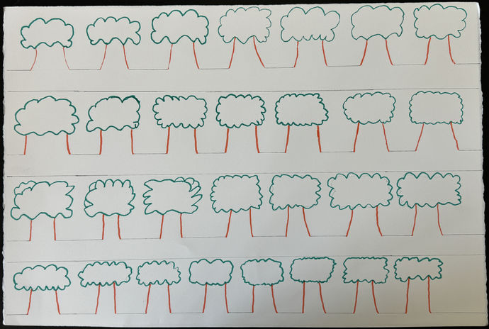 rows of trees in a pattern