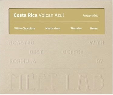 Costa Rica/ Volcan Azul / H1