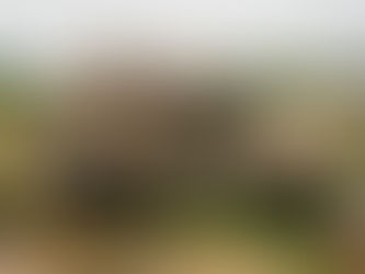 War: What is it really good for?