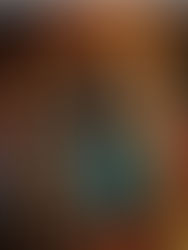 DISCOVER THE TIMELESS ELEGANCE OF BAG NUMÉRO DIX FROM THE LUXURY FRENCH BRAND POLÈNE