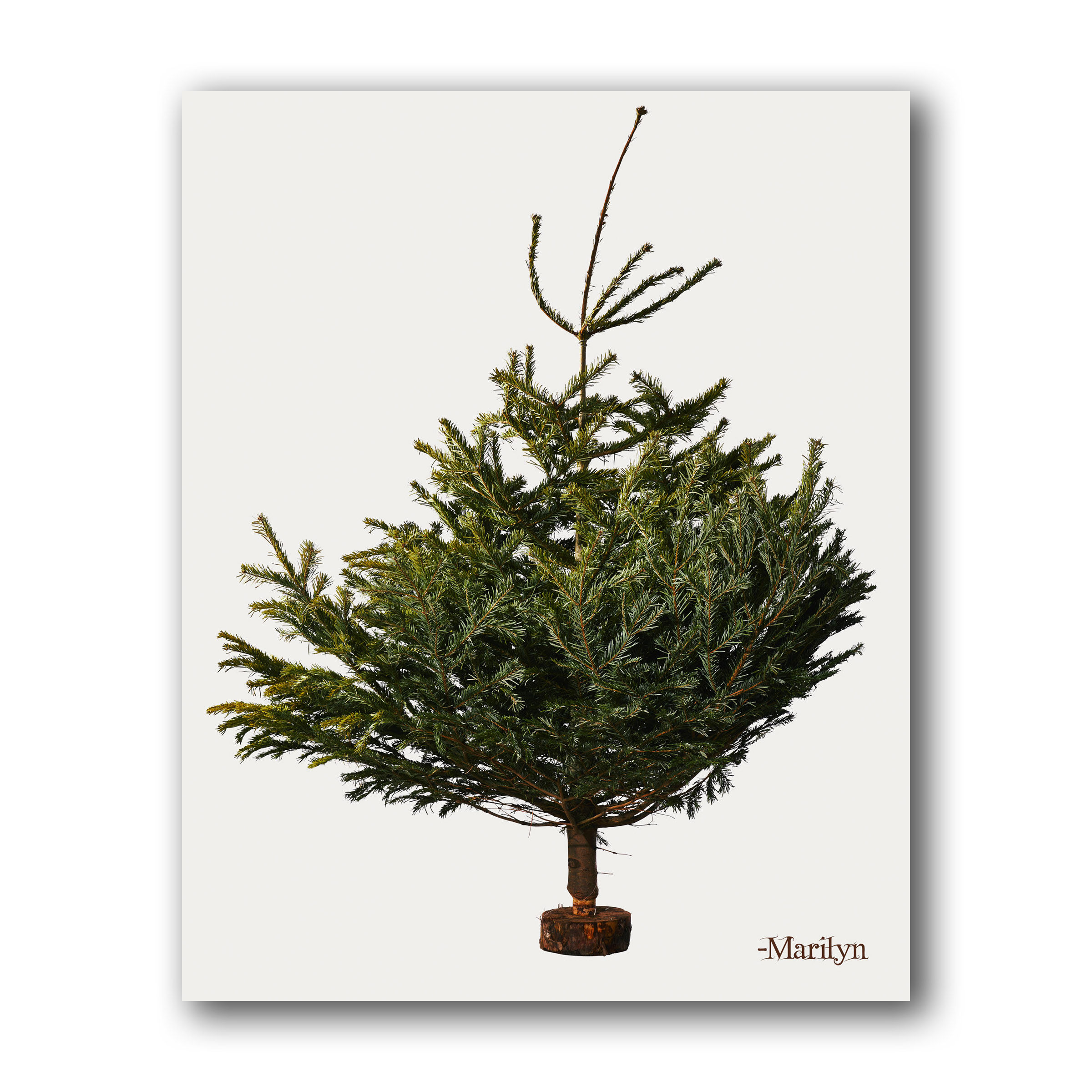 Ghosts of Christmas 'Marilyn'