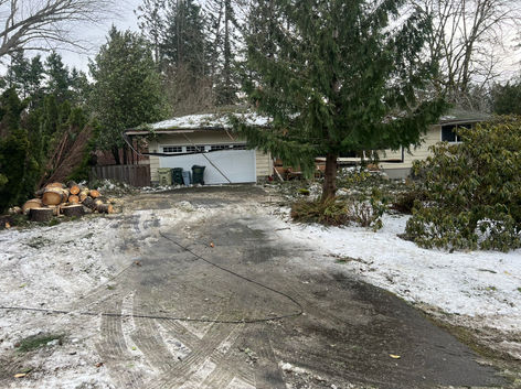 Bridgetown Tree Service, stump grinding, tree removal, tree pruning, tree trimming, tree cutting, stump removal, hedge trimming, tree service, arborist, tree service beaverton, tigard, hillsboro, king city, brush chipping, ornamental trimming, fruit tree pruning, tree cut, 