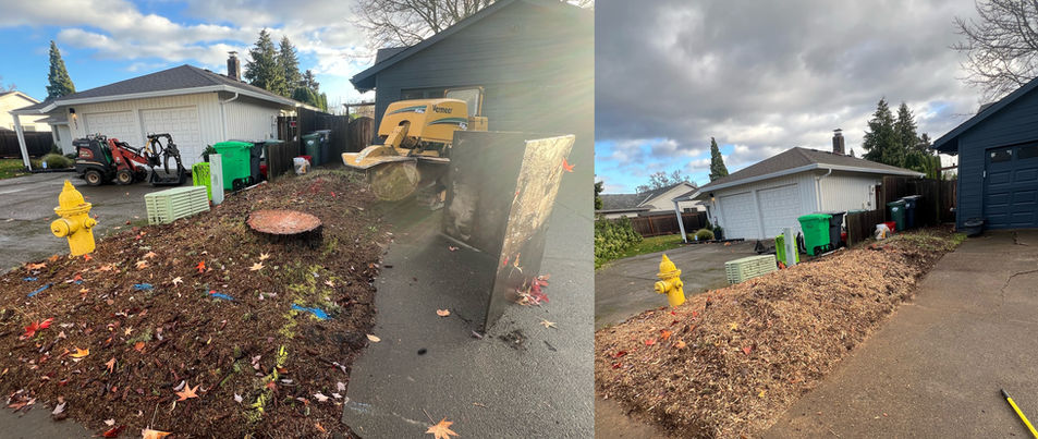 Bridgetown Tree Service, stump grinding, tree removal, tree pruning, tree trimming, tree cutting, stump removal, hedge trimming, tree service, arborist, tree service beaverton, tigard, hillsboro, king city, brush chipping, ornamental trimming, fruit tree pruning, tree cut, 
