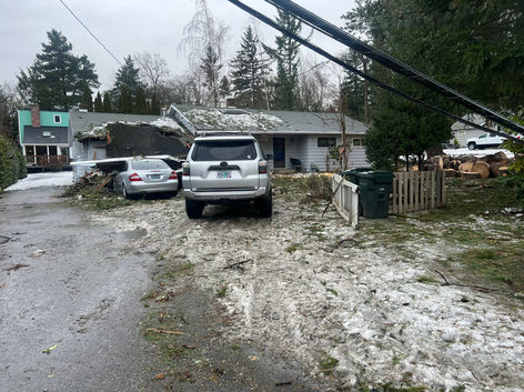 Bridgetown Tree Service, stump grinding, tree removal, tree pruning, tree trimming, tree cutting, stump removal, hedge trimming, tree service, arborist, tree service beaverton, tigard, hillsboro, king city, brush chipping, ornamental trimming, fruit tree pruning, tree cut, 