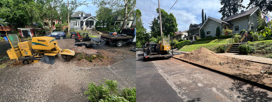 Bridgetown Tree Service, stump grinding, tree removal, tree pruning, tree trimming, tree cutting, stump removal, hedge trimming, tree service, arborist, tree service beaverton, tigard, hillsboro, king city, brush chipping, ornamental trimming, fruit tree pruning, tree cut, 