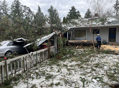 Bridgetown Tree Service, stump grinding, tree removal, tree pruning, tree trimming, tree cutting, stump removal, hedge trimming, tree service, arborist, tree service beaverton, tigard, hillsboro, king city, brush chipping, ornamental trimming, fruit tree pruning, tree cut, 