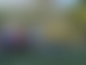 CATEGORIAS DE BASE DO CANGUERA FUTEBOL CLUBE DISPUTA AMISTOSOS