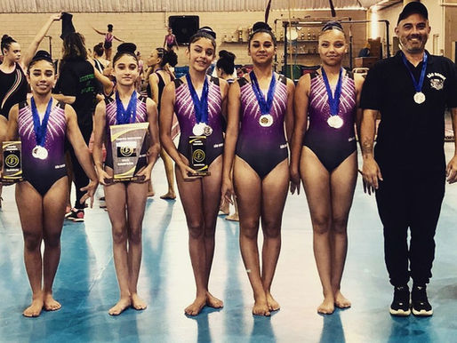 Ginástica Artística de São Roque se destaca em competição na cidade de Indaiatuba
