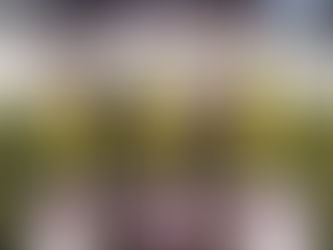 COMEÇOU A COPA DO VINHO 2022