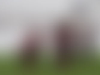 C.A. PAULISTANO SUB-20 VOLTA A CAMPO NA PRÓXIMA SEXTA FEIRA