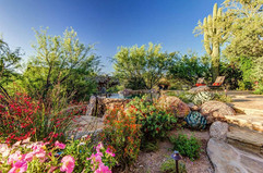 desert backyard 4.jpeg