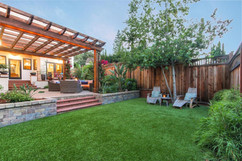 desert backyard 11.jpeg