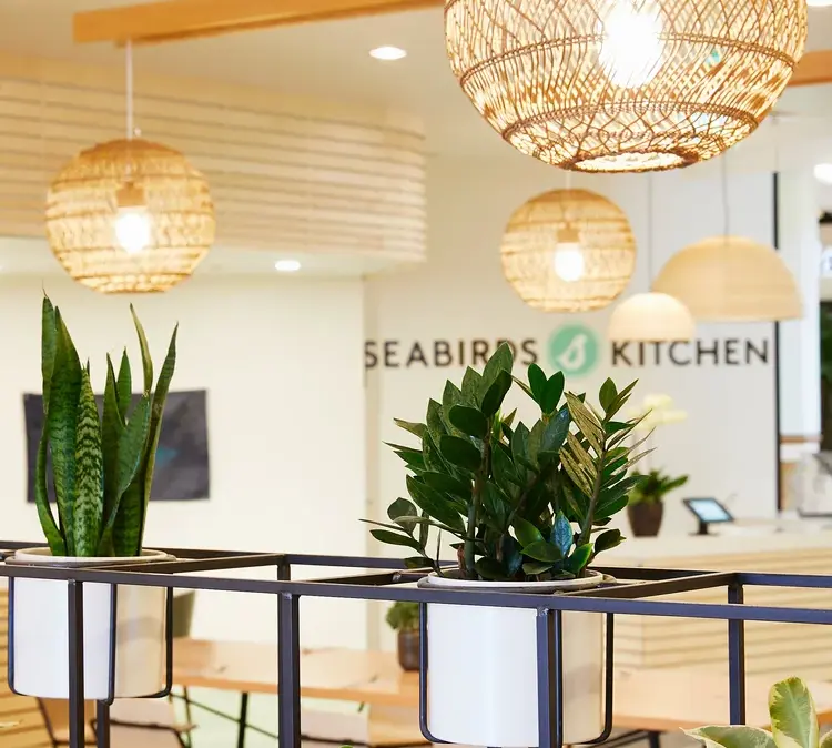 Wide dining area view with long natural-wood tables, mixed seating, hanging woven lights, and a plant-filled divider wall.