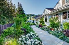 country garden 3.jpeg