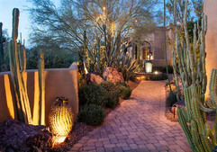 desert backyard 2.jpeg