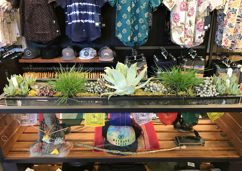 A custom made display case with succulents on top and necklaces and a hat inside.