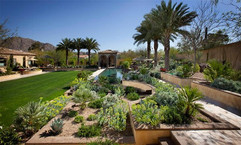desert backyard 5.jpeg