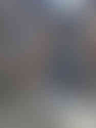 a metallic blue giraffe sculpture showing x -ray painted bones