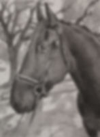 Indy Study