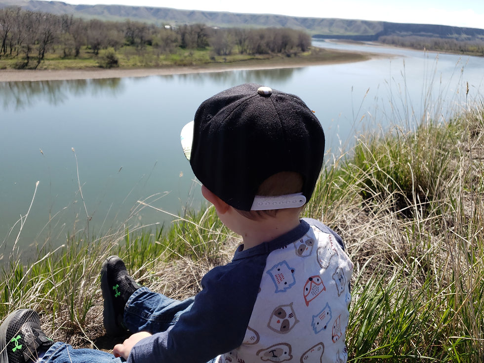 Medicine Hat Family Fun