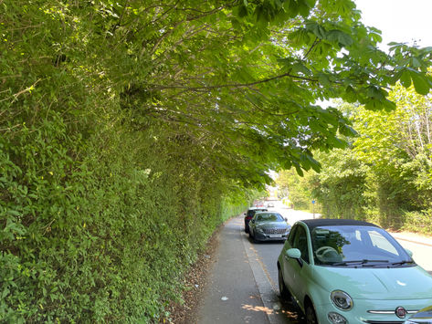 Update on hedges on Station Approach