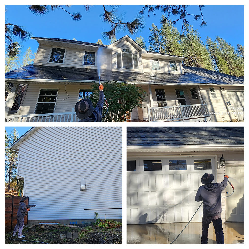 House soft washing by VGRC