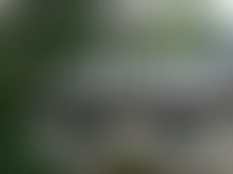 Roof Washing for Energy Efficiency: What You Need to Know