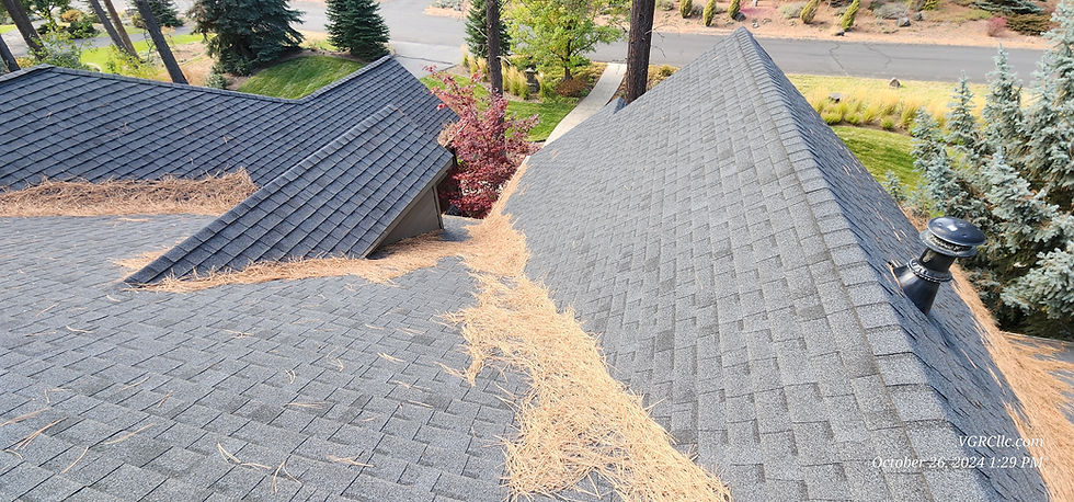 A roof in need of a blow-off