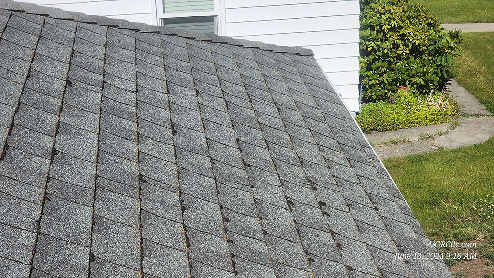 Mossy roof