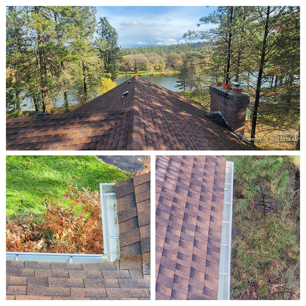 Some nice after photos of a gutter cleaning