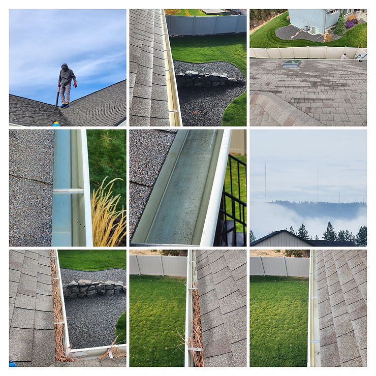 The importance of clean gutters with before and after photos