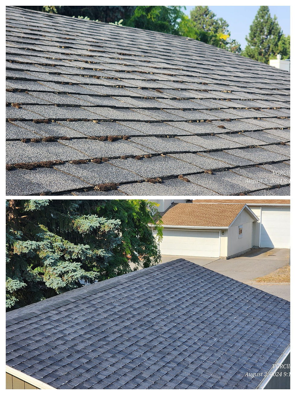 Before and after image of moss removal