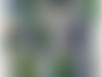 Spokane Gutter Cleaning Solutions: Protect Your Home with VGRC