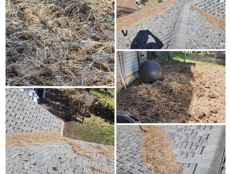 5 Hidden Threats to Your Roof, Gutters, and Curb Appeal in Spokane