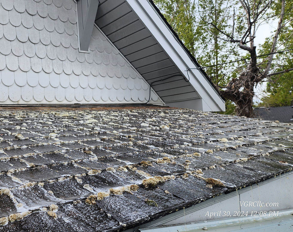 Soft roof washing