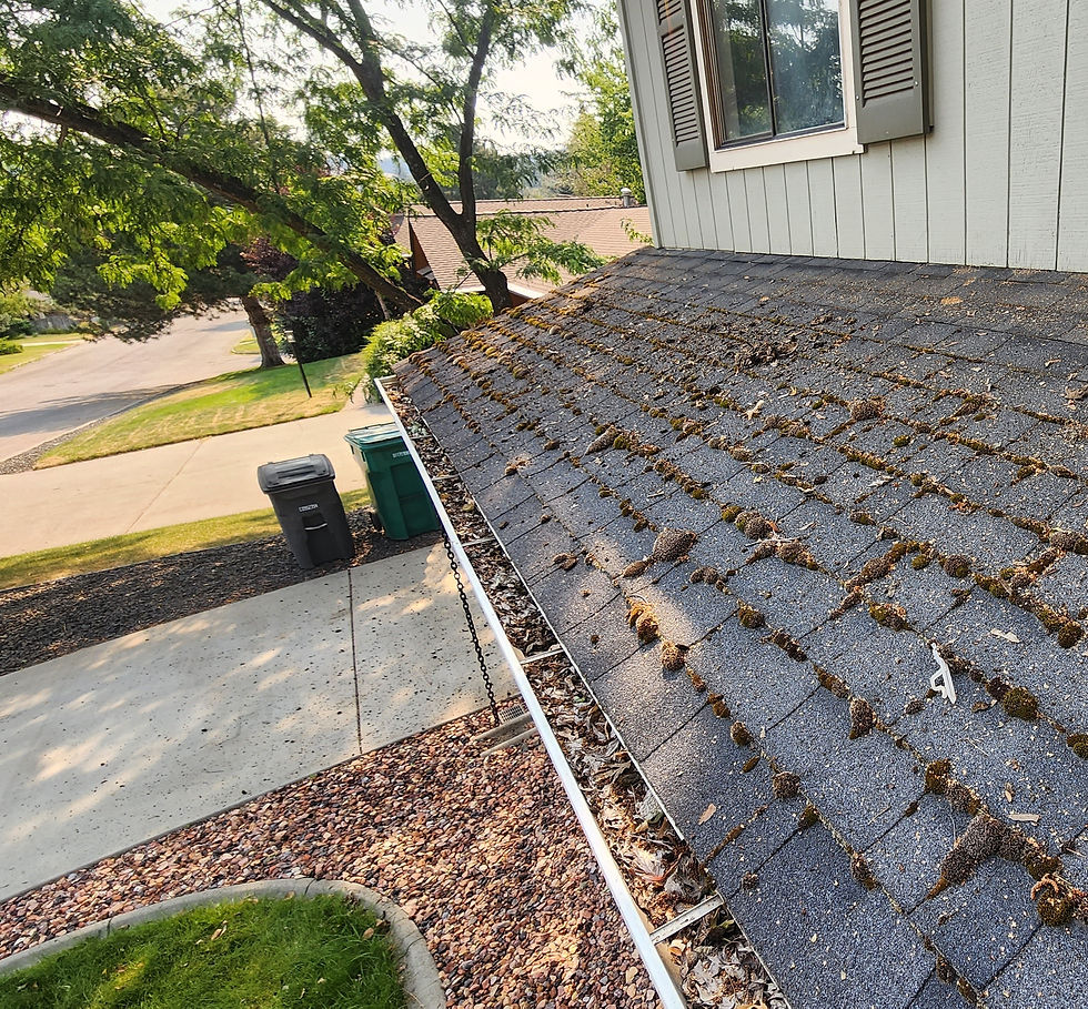 Dirty gutters