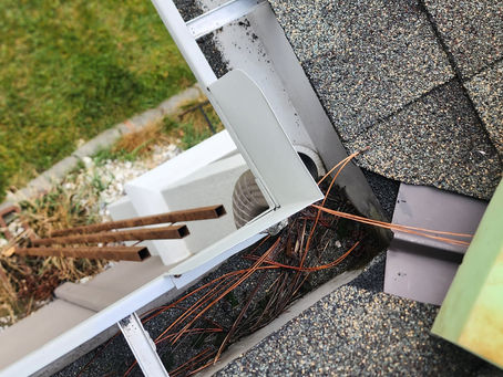 Gutters of Spokane County, WA: A Saga of Survival and Cleanliness with VGRC