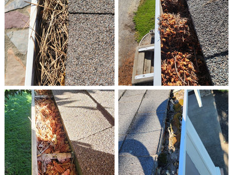 Gutter Cleaning in Spokane County: Clogzilla’s Worst Nightmare