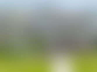 Preparing Your Home for a Professional Wash: A Guide by Veracity Gutter And Roof Cleaning, LLC (VGRC, LLC)